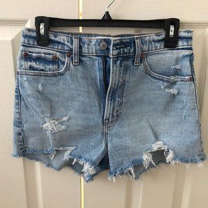 Abercrombie & Fitch Curve Love High Rise Mom Shorts